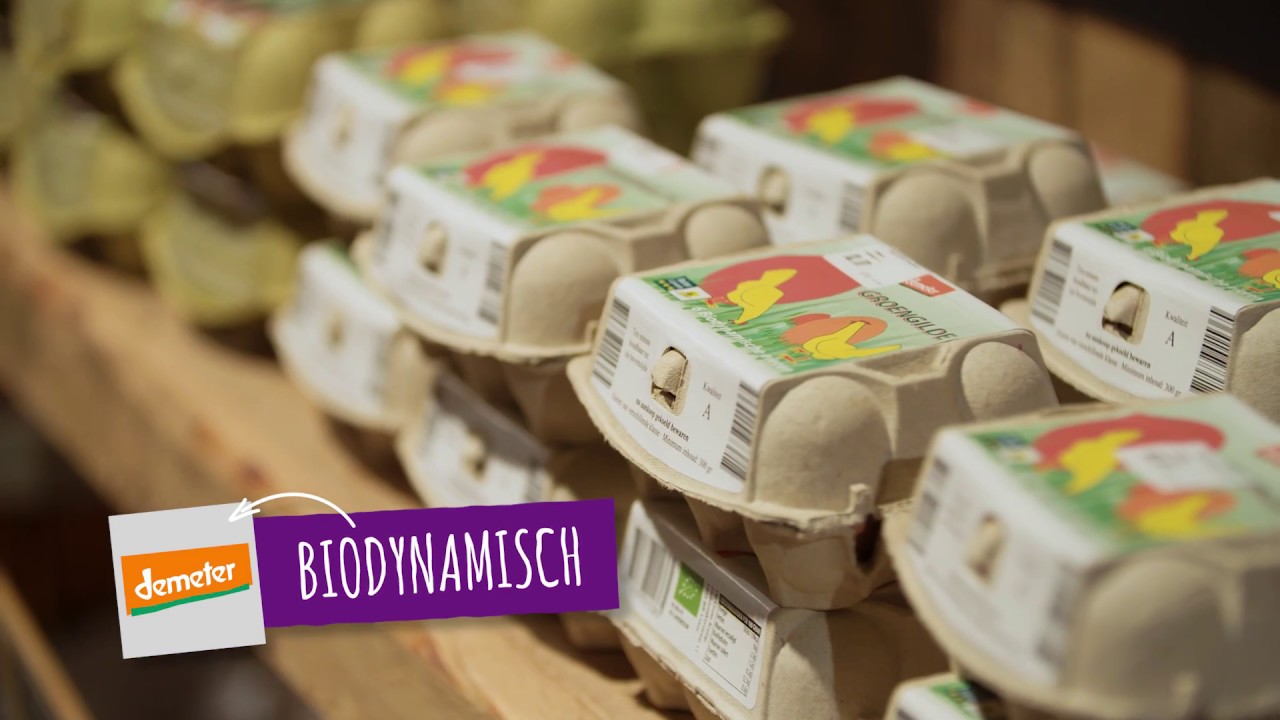 Inwerkprogramma medewerkers | Ekoplaza