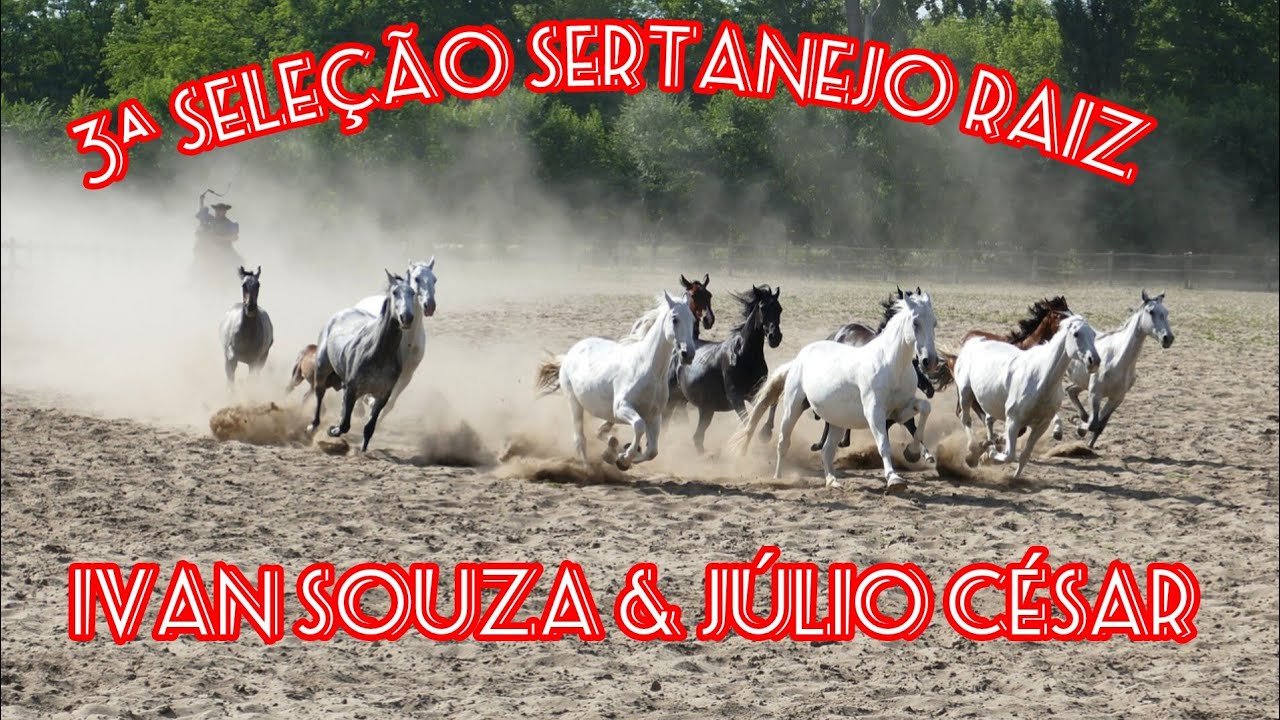Ivan Souza & Júlio César - 3ª SELEÇÃO SERTANEJO RAIZ