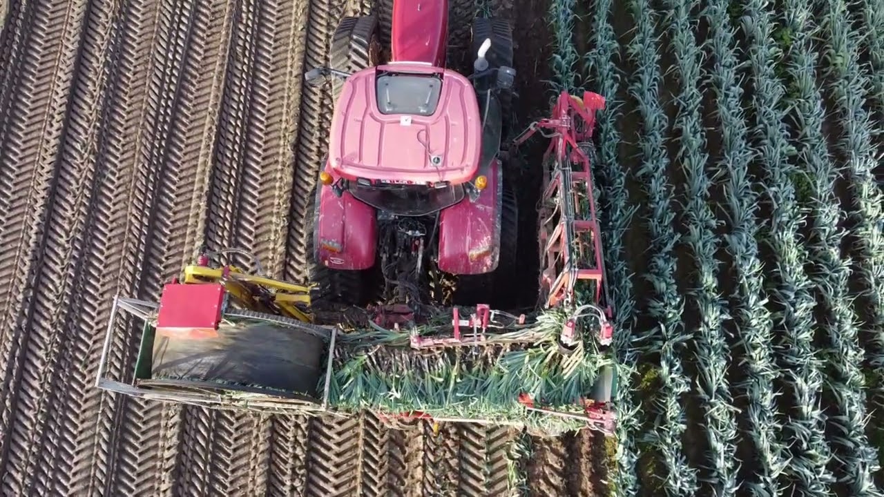 Preirooier, Case puma, Zuidberg tracks, Leekharvester, Arracheuse Verhoest