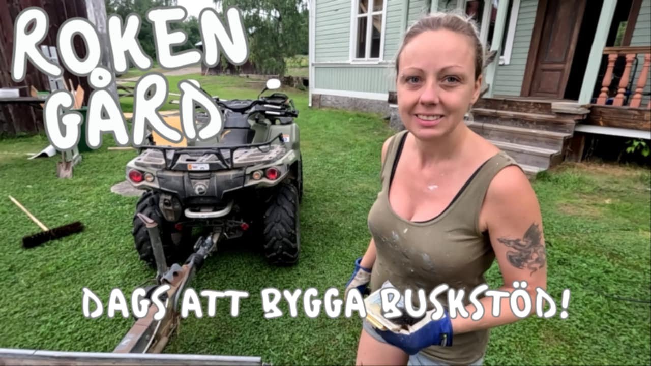 Roken Gård  Bygger stöd för vinbärsbuskarna