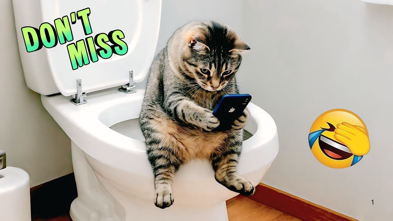 DON’T MISS 😱🔥 | Before This Gets Deleted – Viral Pet Moments of the Year