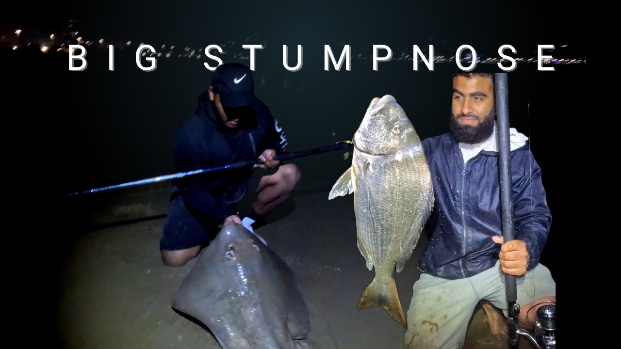 Big STUMPNOSE & BLUE RAY action! | Durban Basin is ON FIRE!