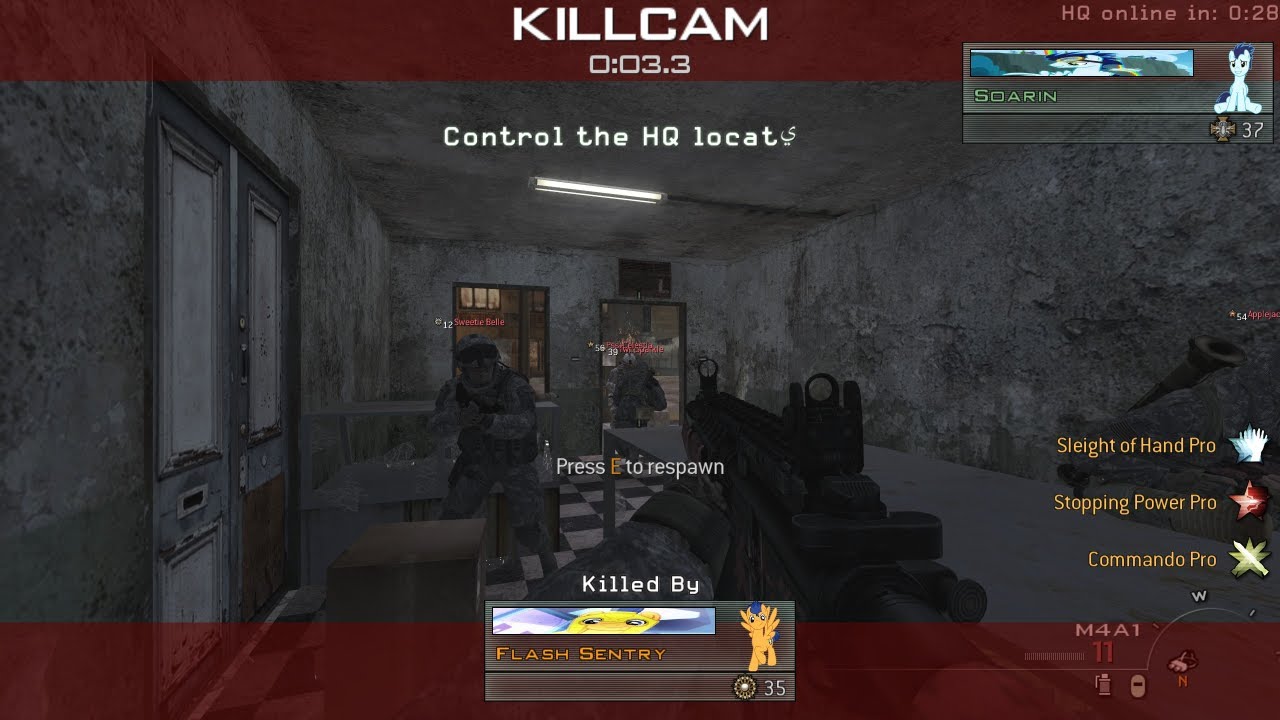 IW4x Punishing