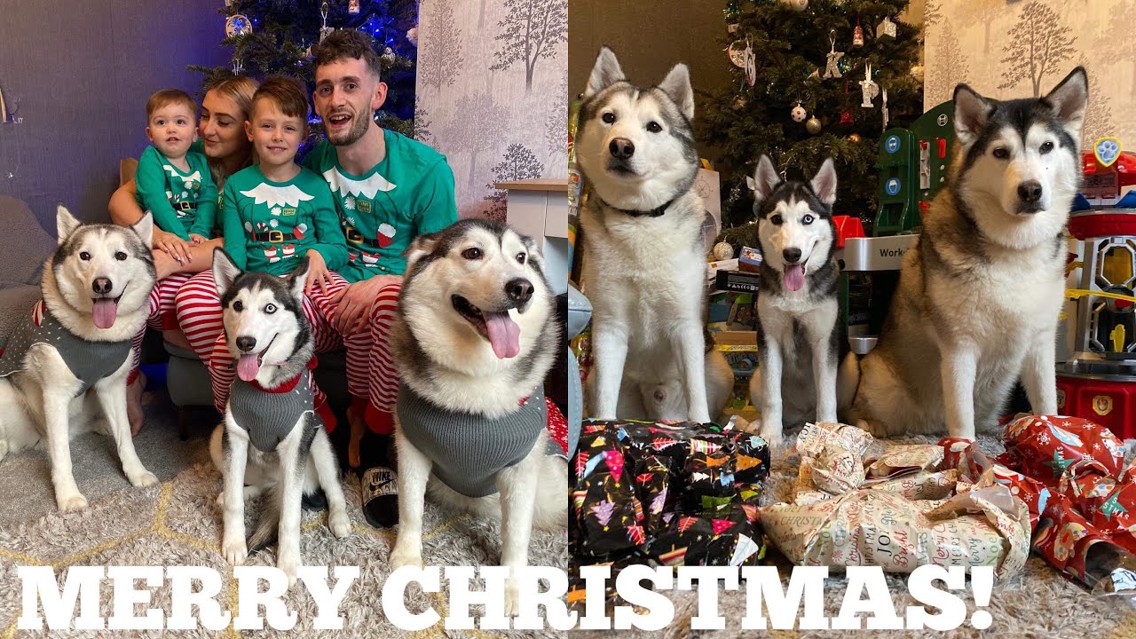 OUR BEST CHRISTMAS EVER!!  [READ DESCRIPTION]