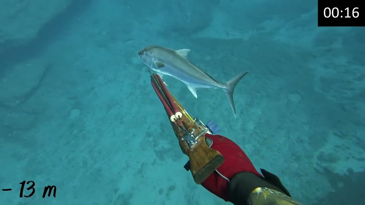 Las maravillas del verano 2024.