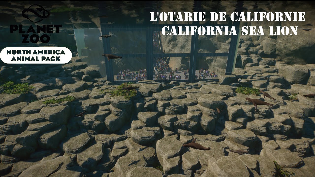Planet Zoo: Amérique du Nord. L'Otarie de Californie / California Sea Lion habitat