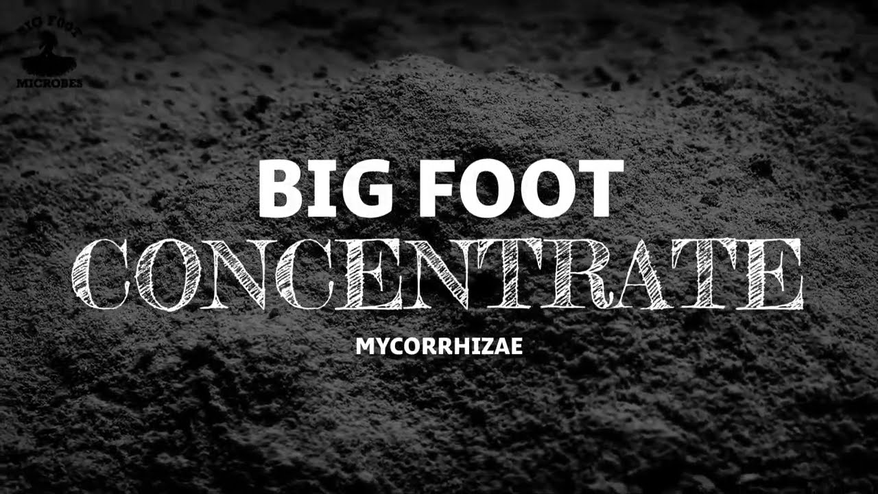 Концентрат микоризы Big Foot - MYCO + Beneficials (на водной основе)