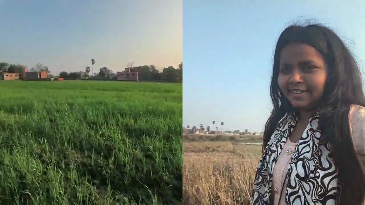 बाढ़ की वजह से फसल भी अच्छा नहीं निकला ब्लॉक को पूरा देखें 😭😭