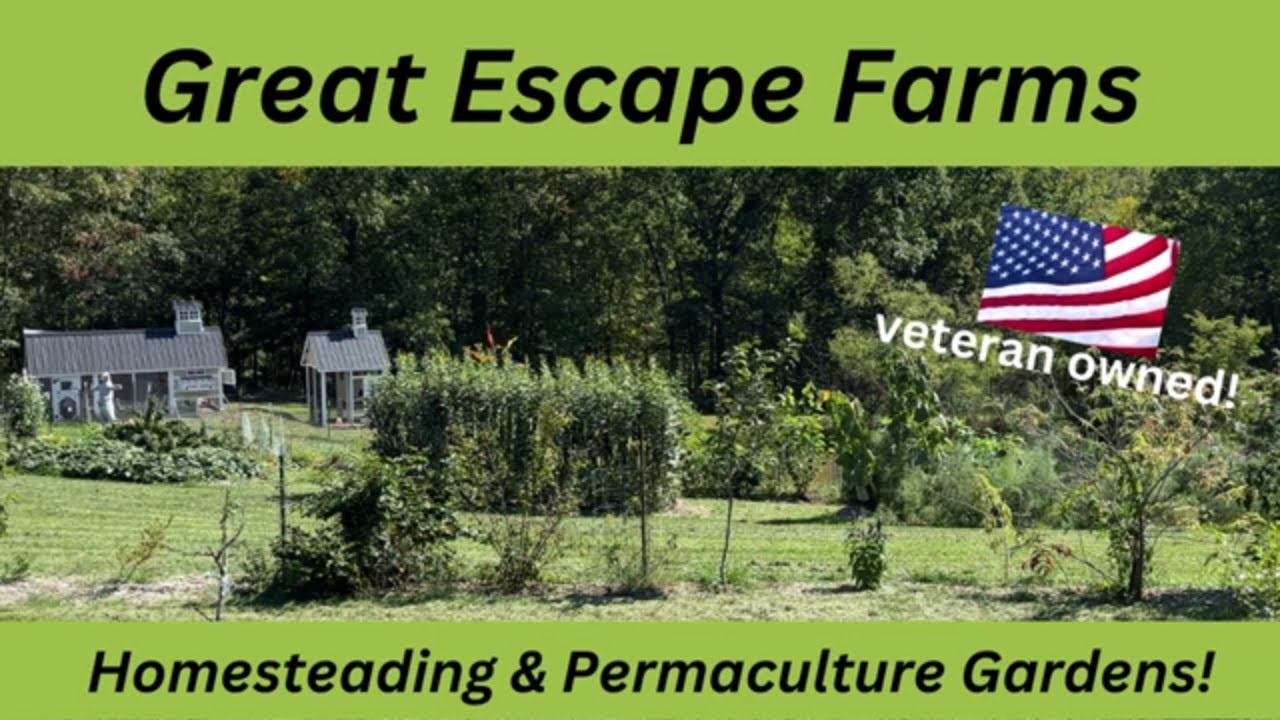 Great Escape Farms tour!  Veteran-owned small business - homesteading, permaculture, nursery & tours