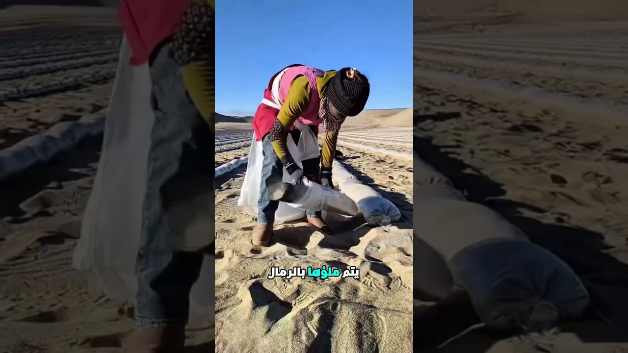 كيف هزمت الصين التصحر؟ 🌱