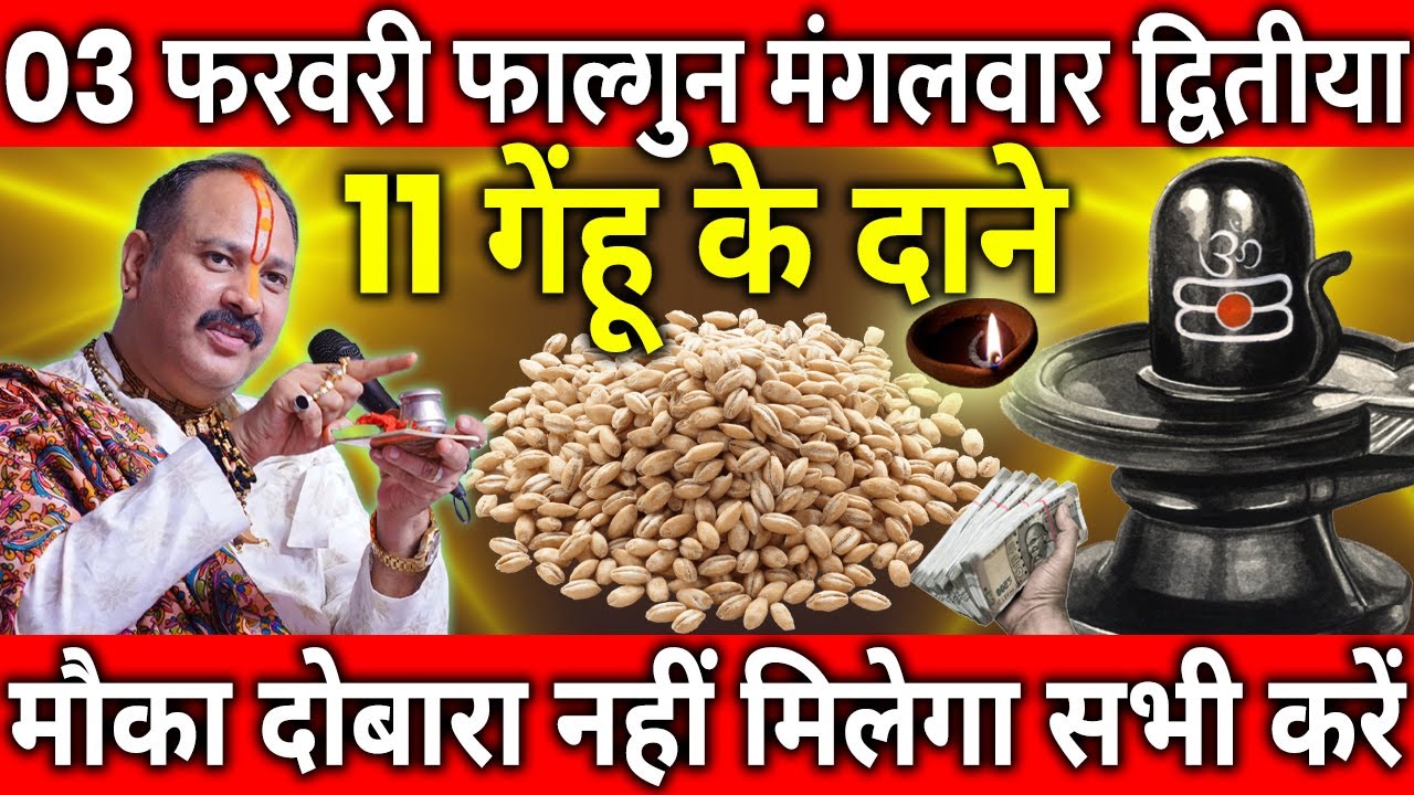 03 फरवरी फाल्गुन मंगलवार द्वितीया तिथि के दिन 11 गेंहू दाने वाला उपाय जरुर करे || Pradeep Ji Mishra