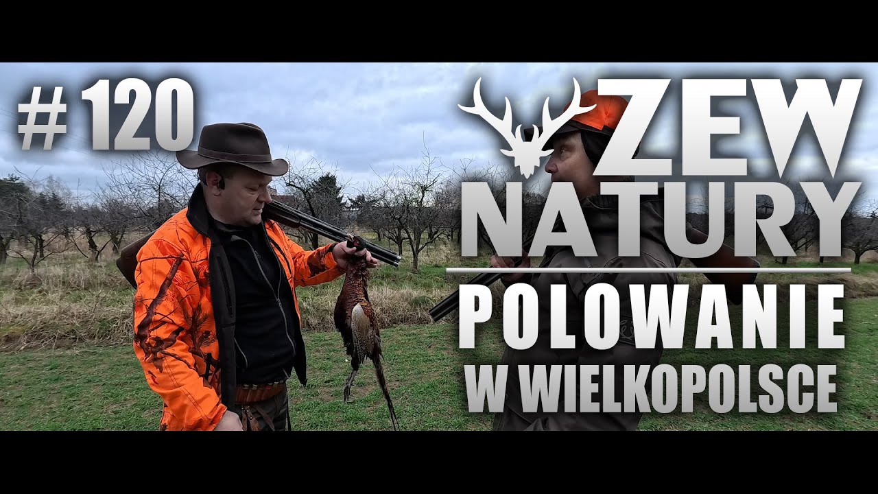 Polowanie w Wielkopolsce - Zew Natury odcinek 121