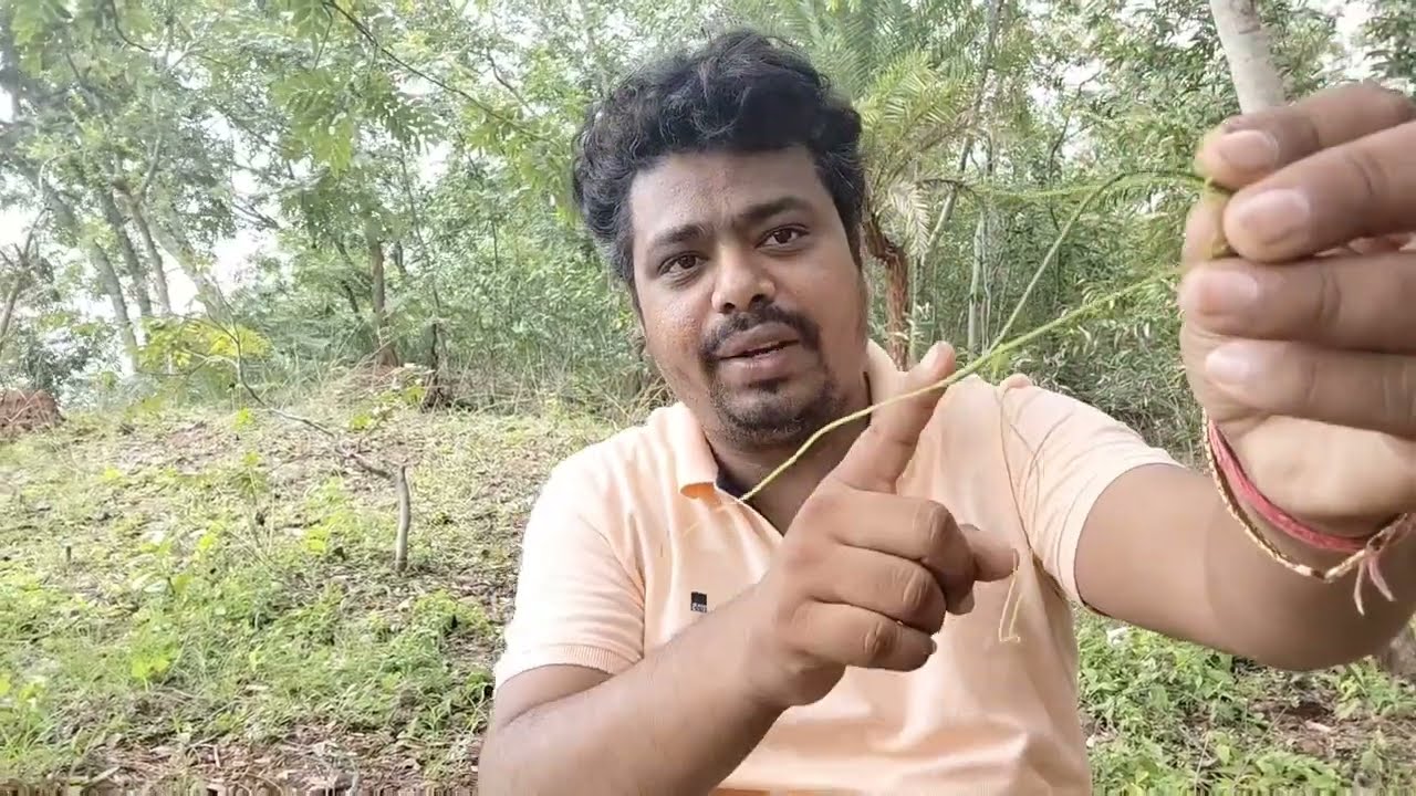 दिव्य जड़ी बूटी का गुण और तांत्रिक मंत्र प्रयोग सुनिए इस वीडियो में पूज्य श्री गुरुदेव जी से