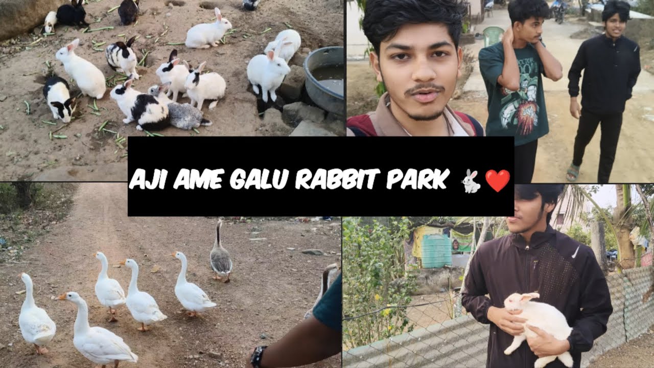 Aji Ame Galu Rabbit Park 🐰❤️ | Fun Day with Friends | NK Vlogs
