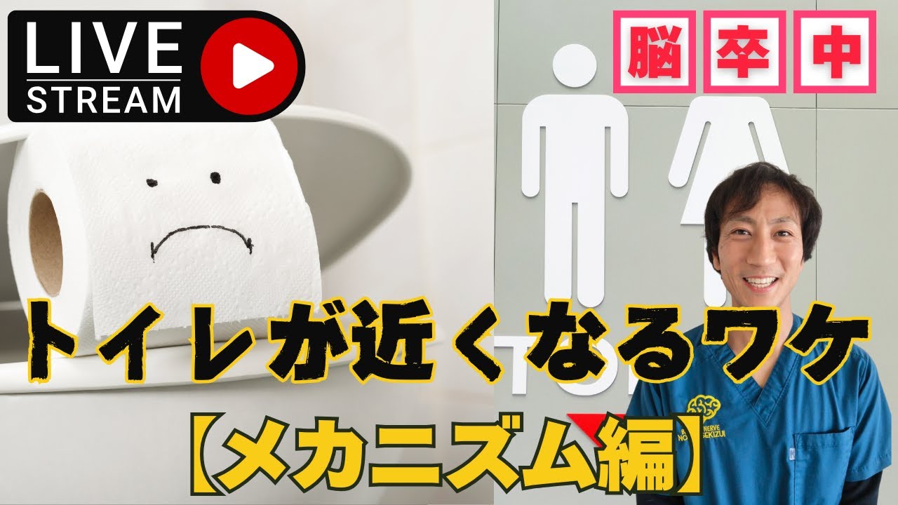 【メカニズム編】脳卒中後におけるお手洗い問題（頻尿など）を解説！