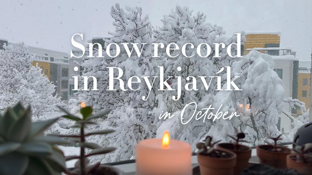 Snowy walk through the cozy streets of Reykjav&iacute;k, Iceland