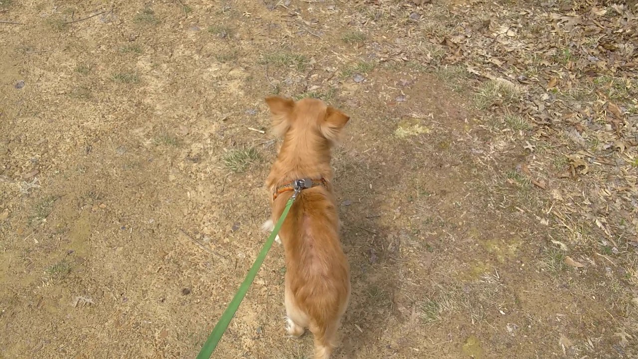 CyrusIsOK