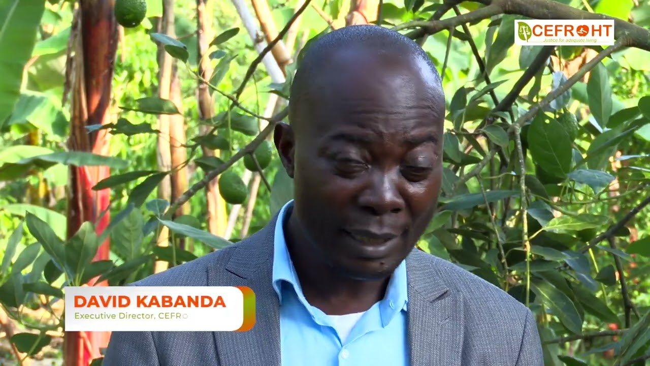 THE MAGIC OF AGROECOLOGY FARMING