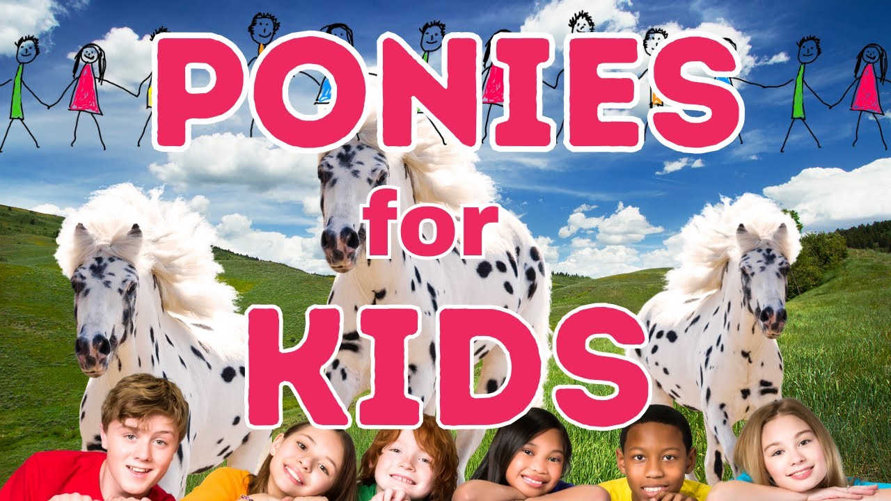 Fun Facts About Ponies
