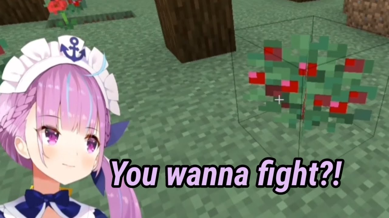 Aqua asking a berry to fight her