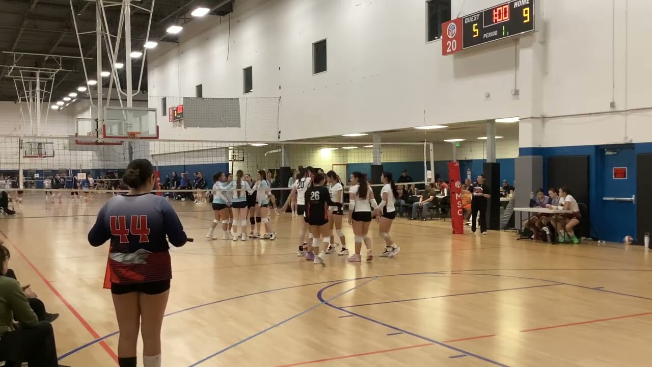 SGE 15 Rain vs Reef