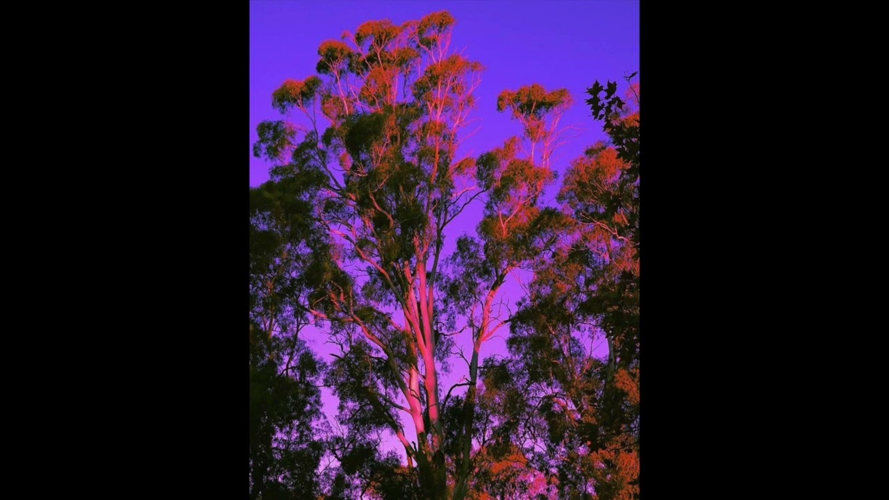 (FREE) glaive x ericdoa guitar hyperpop type beat 