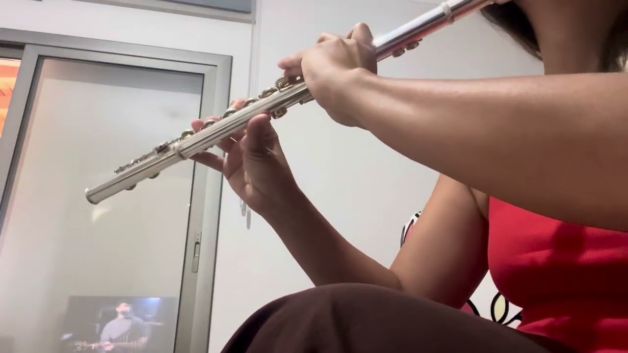 maNga - Cevapsız Sorular (flute cover) feat. Tolgahan Baş