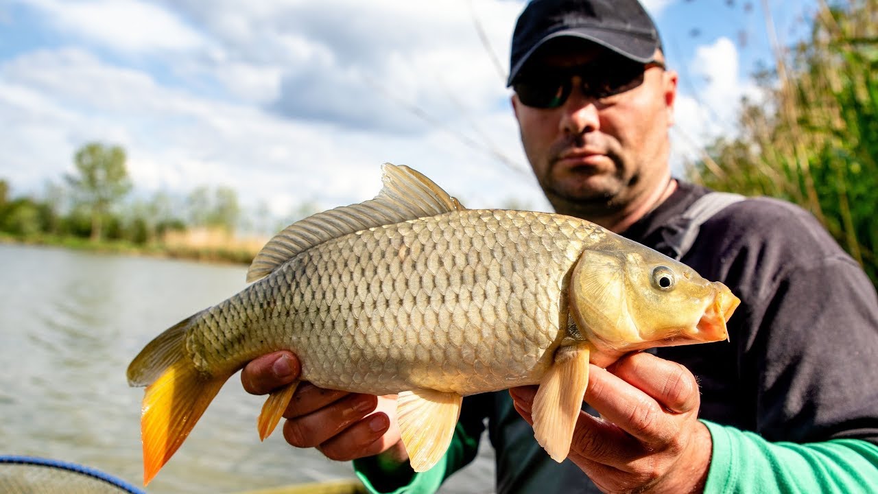 Priče sa vode ep. 32 12.05.2020. Jezero Bački Karaš, Silbaš