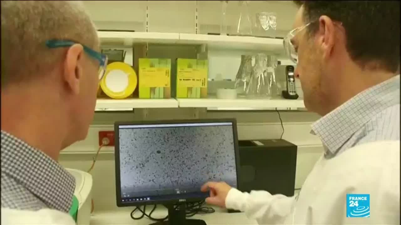 Australian scientists develop lab-grown version of deadly coronavirus