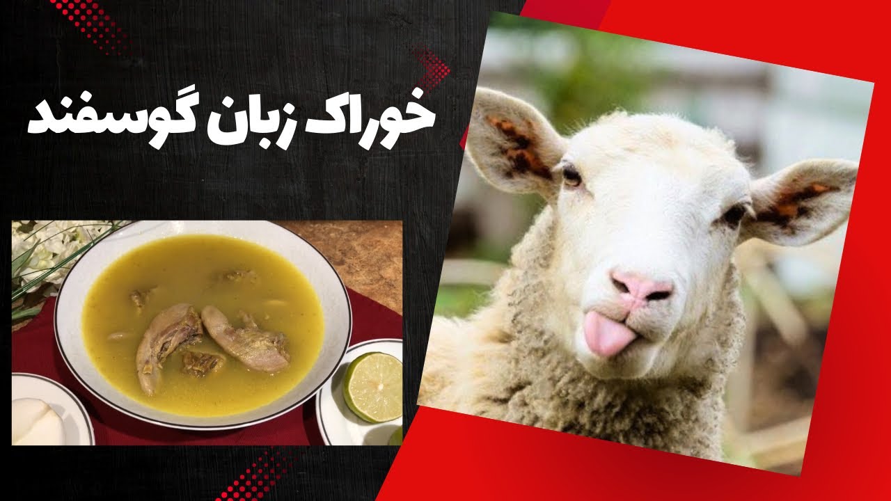 خوراک زبان گوسفند ( جهت صبحانه یا افطار )