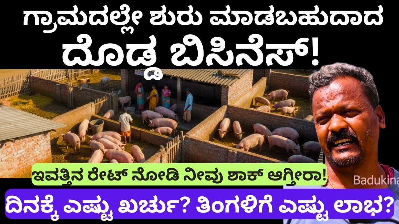 ಹಂದಿ ಸಾಕಿದ್ರೆ ಹಣ ಬರುತ್ತಾ? ಸತ್ಯ ಬಹಿರಂಗ!||Pig Business||Part-02