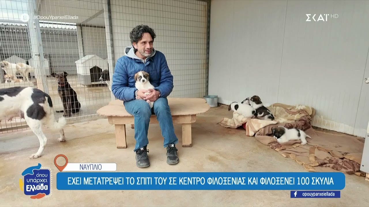 Ναύπλιο: Ο άνθρωπος που αποφάσισε να μετατρέψει το σπίτι του σε κέντρο φιλοξενίας σκυλιών