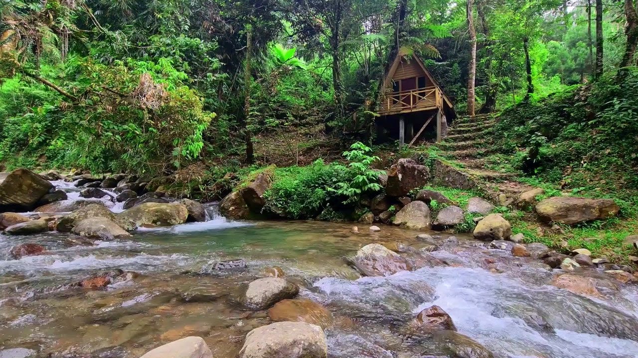 River Energy Ambience | Peaceful Stream for Healing and Better Sleep