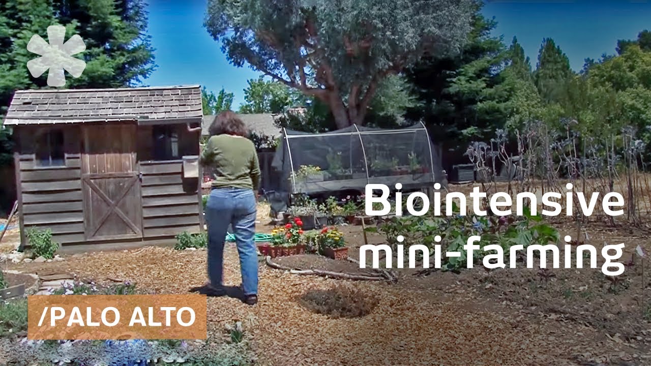 Biointensive mini-farming: grow more food in less space