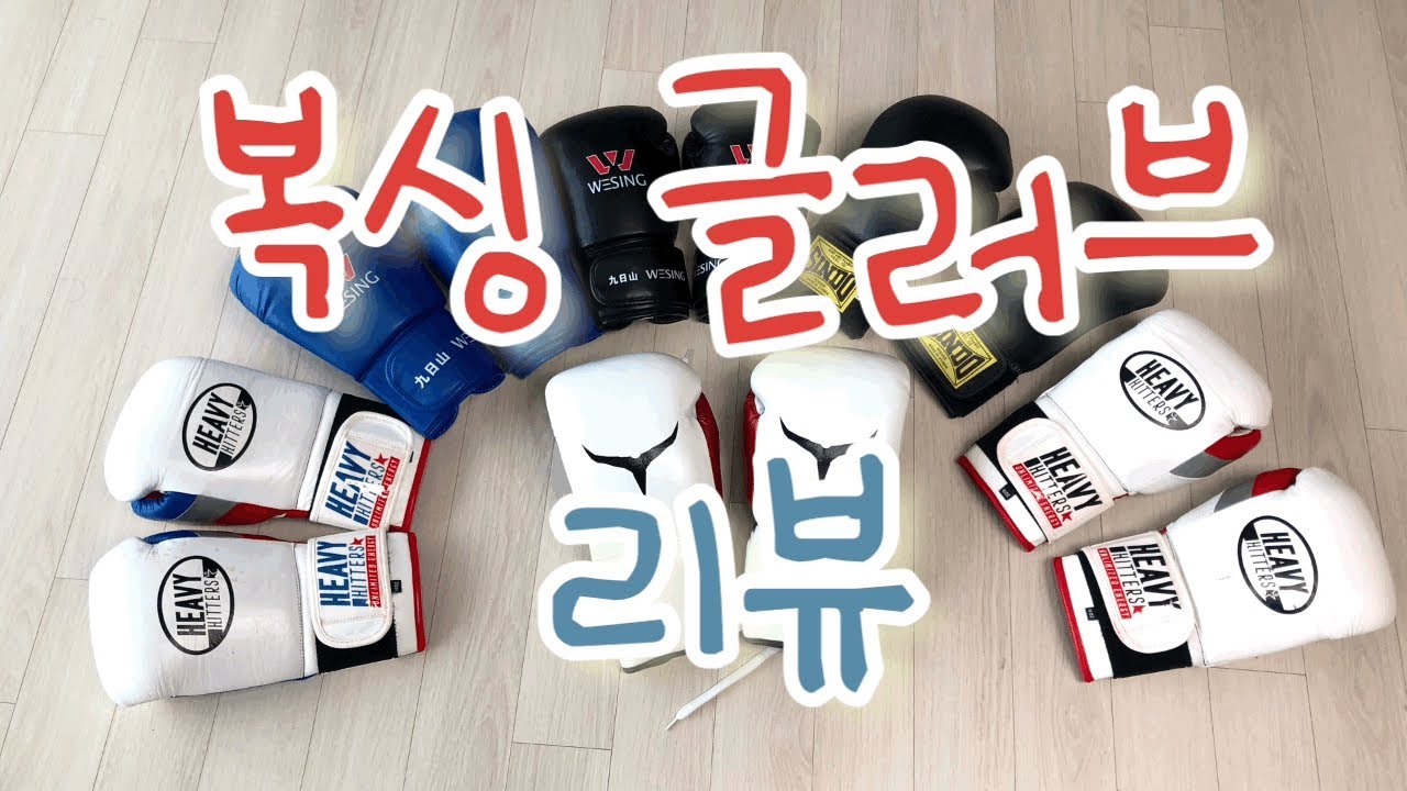 복싱 글러브 리뷰 추천 / 헤비히터 투이스코 위싱 신도 / 내돈내산