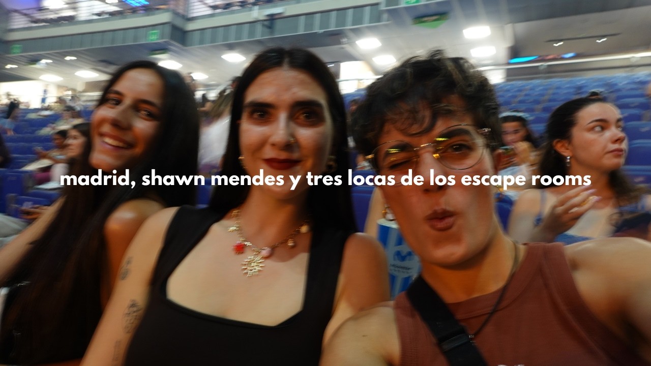 el día que nos fuimos al concierto de Shawn Mendes