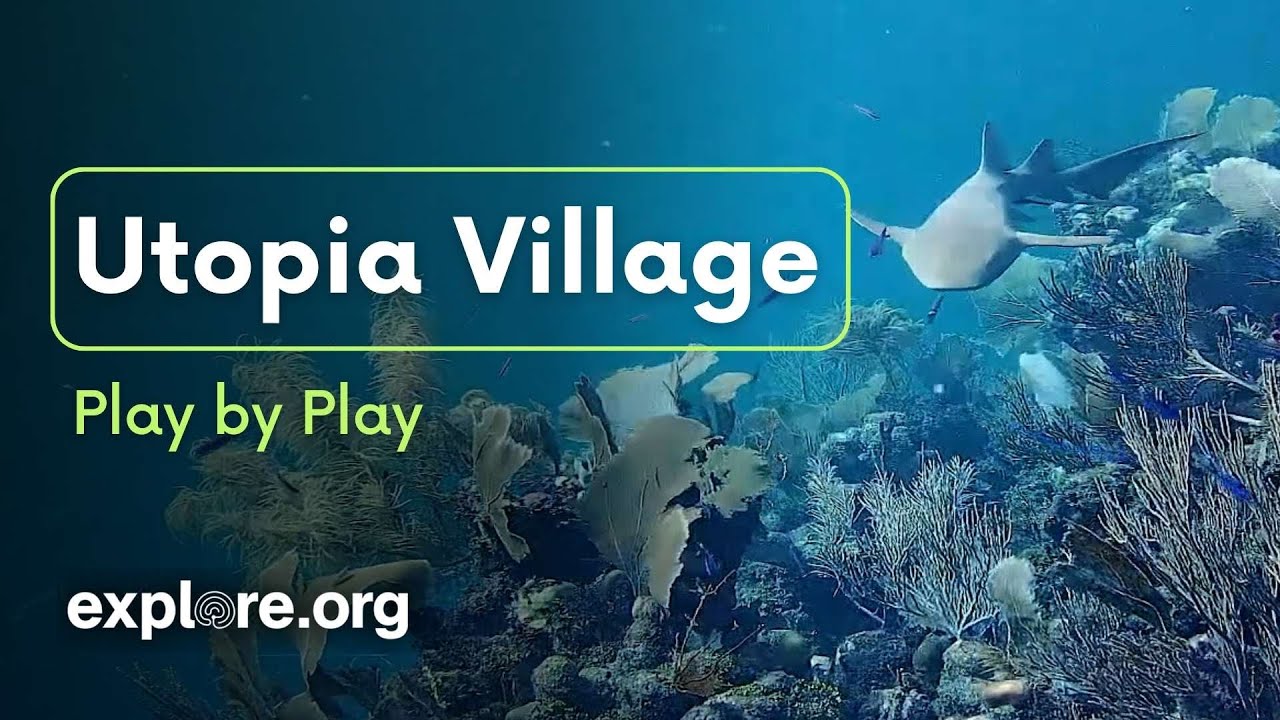 Utopia Village Underwater Play by Play
