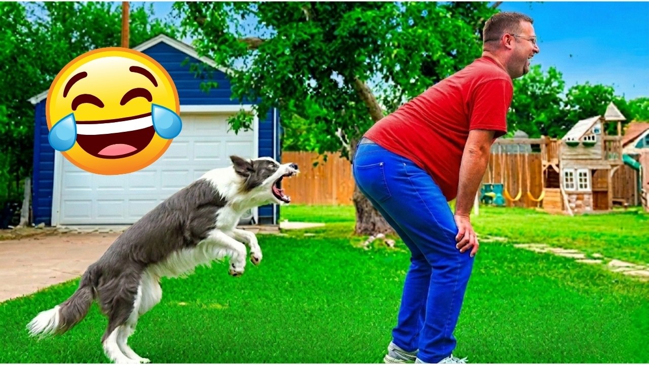 Top 100 Hilariously Unexpected Moments 😂 Try Not To Laugh | Fails, Memes & Crazy Funny Clips 🤣