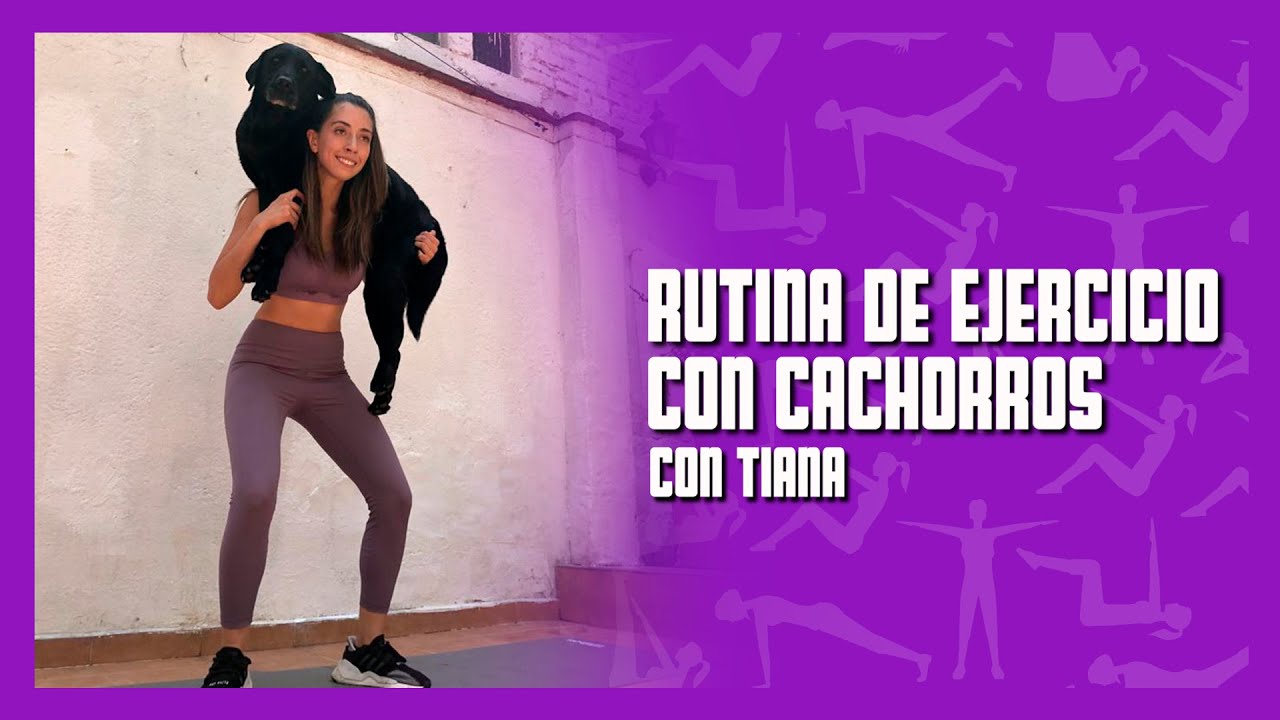 ¿Cómo HACER EJERCICIO con tu PERRO? / Ale Toledano
