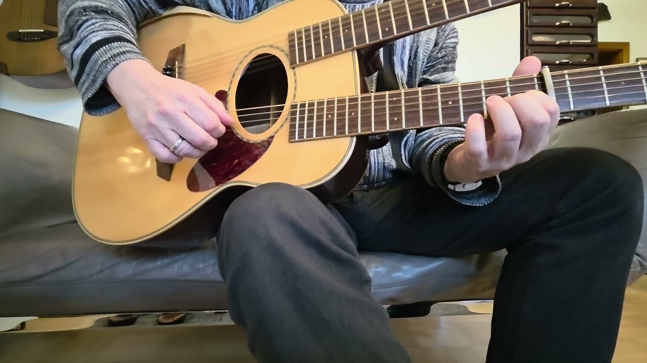 Daion doubleneck kurzes Demo