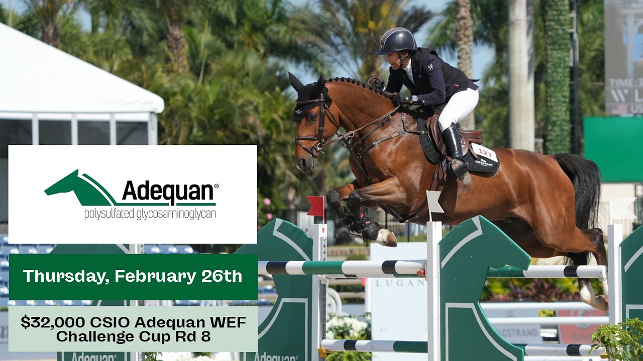 Watch the $32,000 CSIO Adequan WEF Challenge Cup Rd 8
