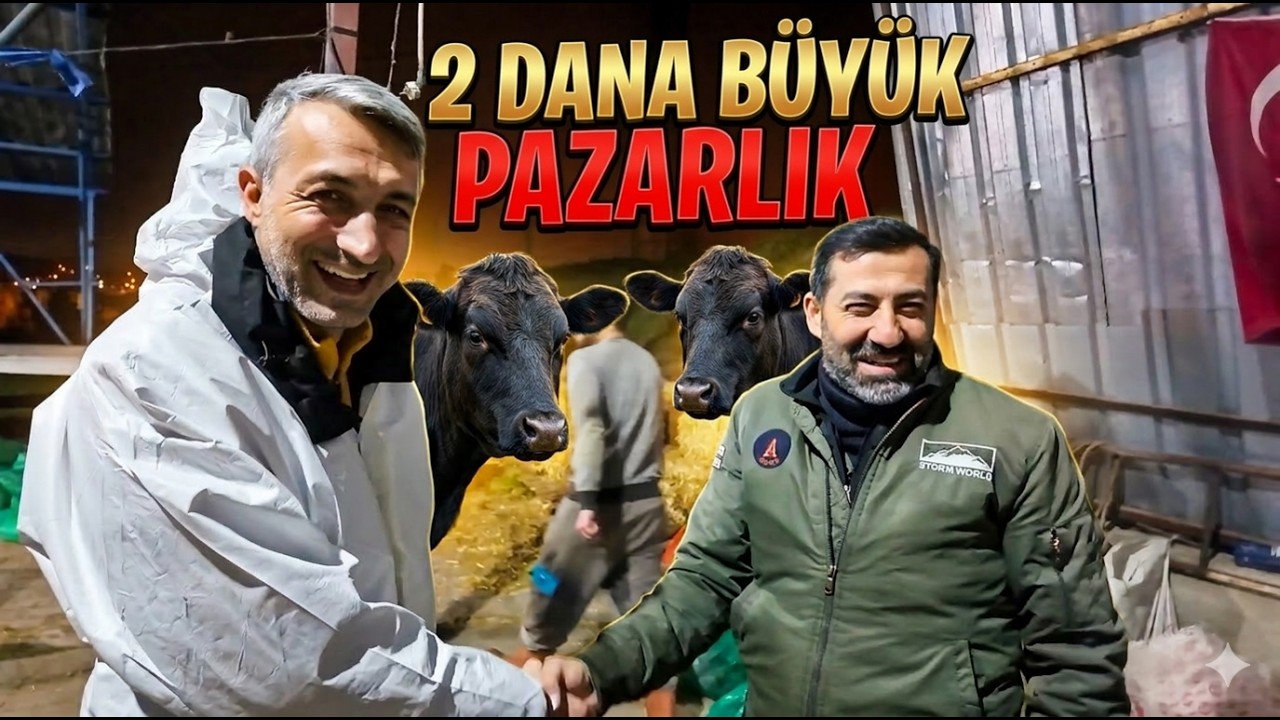 2 DANA TEK FİYAT / AKŞAM PAZARI / BÜYÜK PAZARLIK