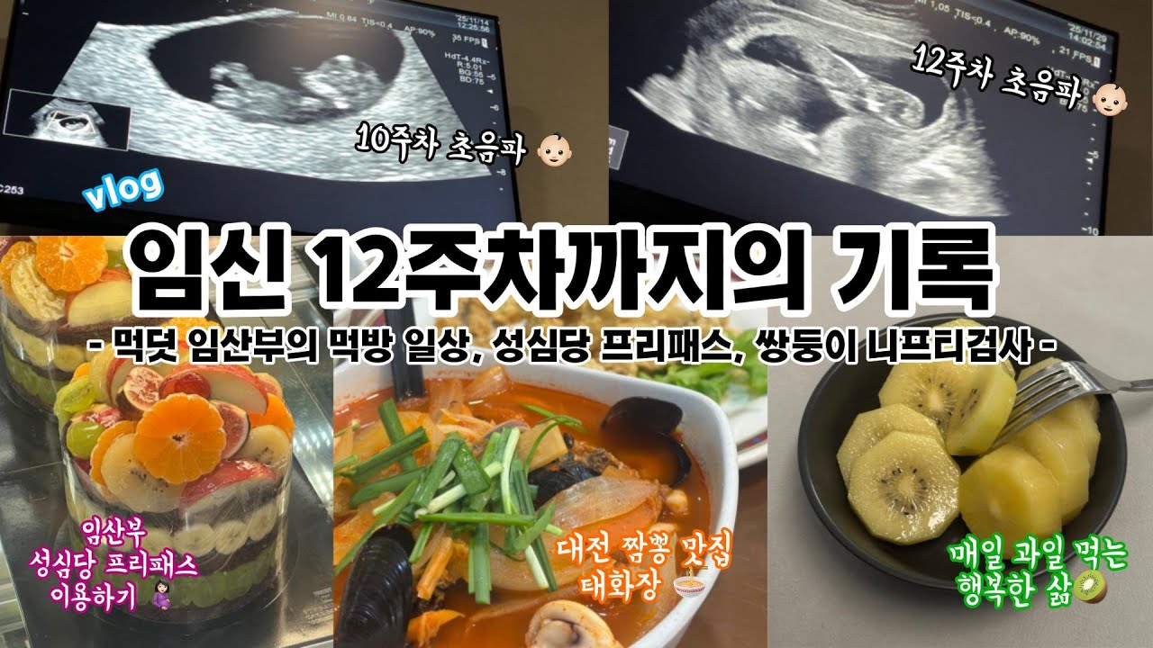 [vlog] 임신브이로그 ;12주까지 쌍둥이 초음파 기록👶🏻, 피비침 끝, 대전여행 (성심당, 태화장), 먹덧 기록🍽 , 니프티검사, 임신 중기를 향해 💕
