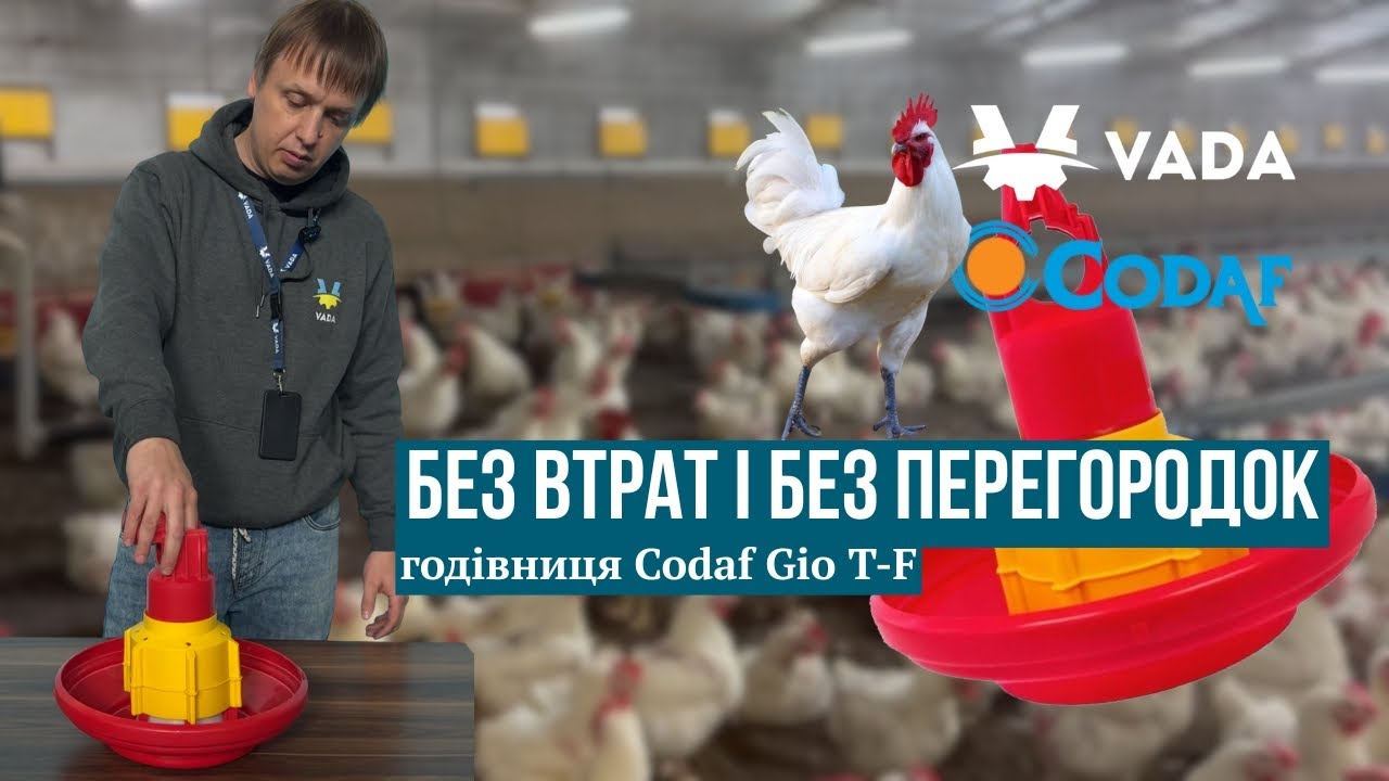 Без втрат і без перегородок — годівниця Codaf Gio T-F