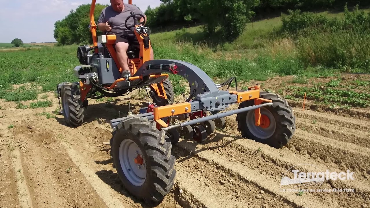 Terrateck - Porte outils maraicher binage sur butte de carotte en rang double