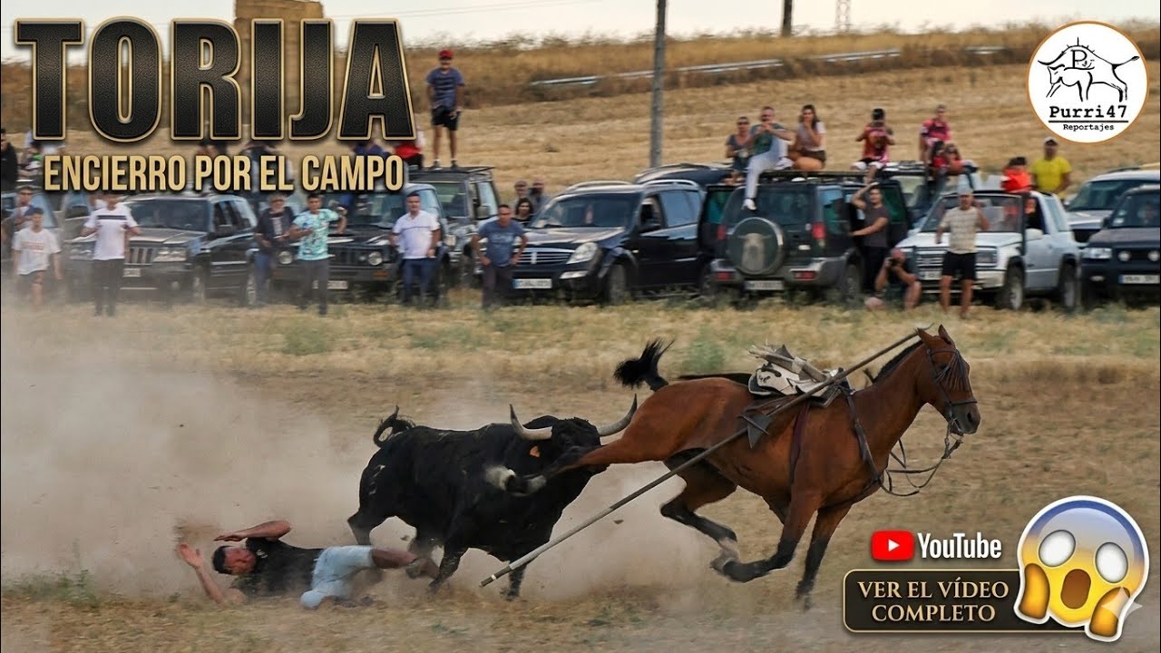 👀ENCIERRO POR EL CAMPO 🌾 TORIJA 2025 🙌ESPECTACULAR TORO!!🚨