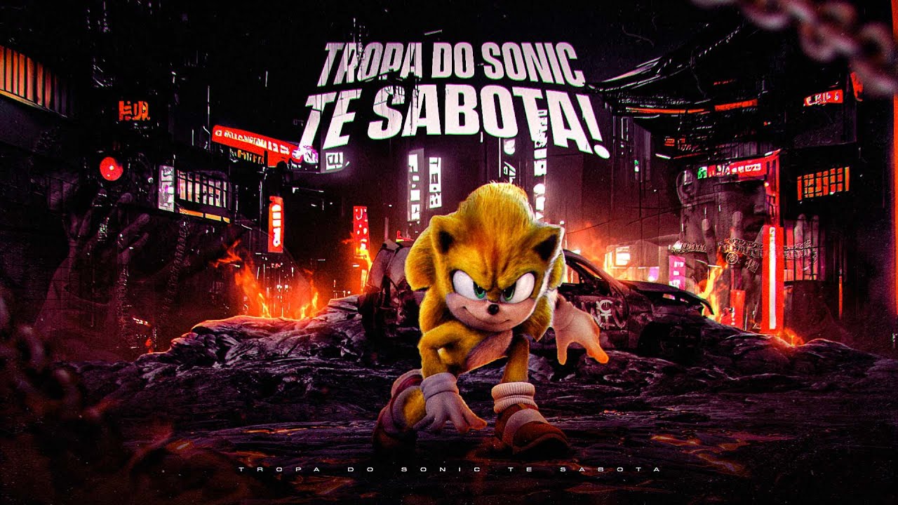 10 MINUTINHOS DO SONIC 3 (@djlddafavelinha)