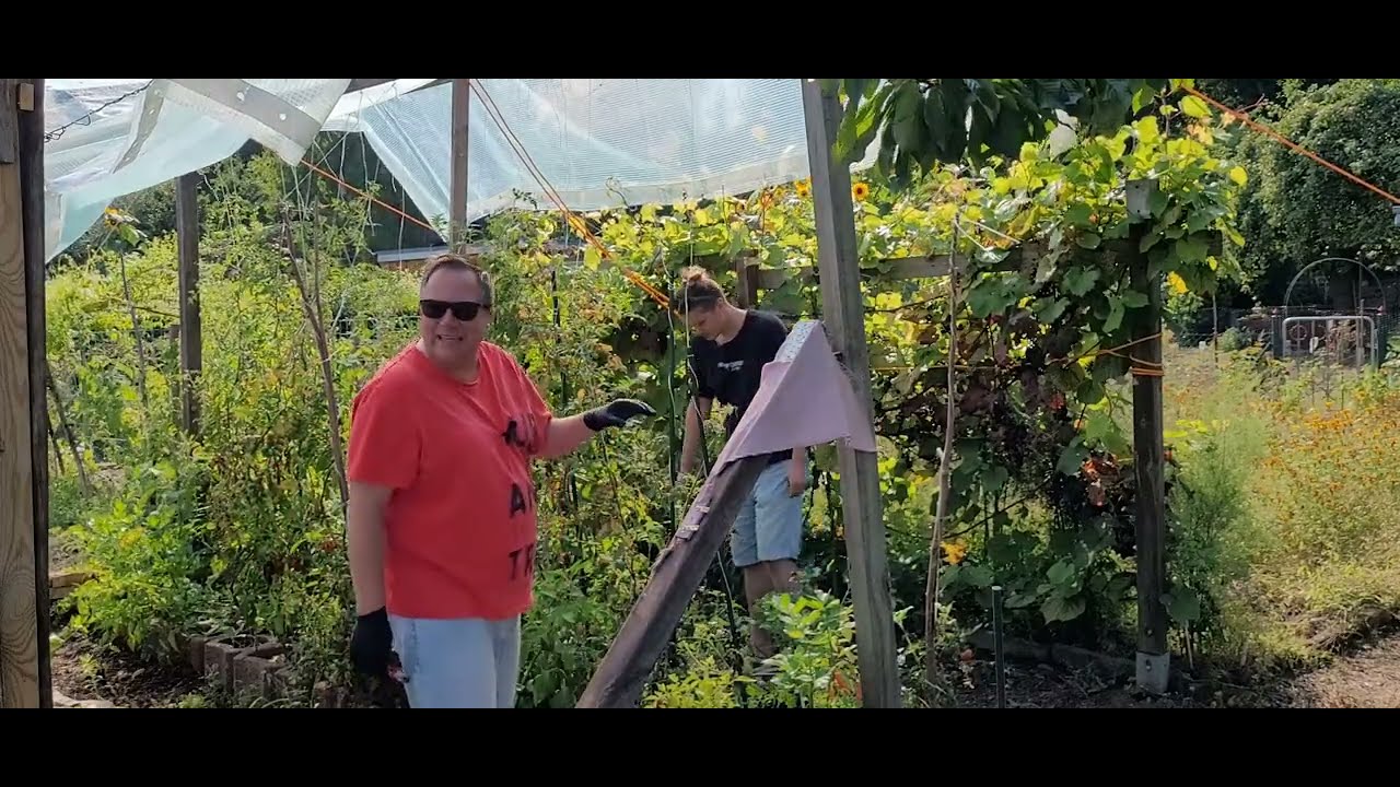Was bisher geschah.  Der Gartenrundgang Teil 45