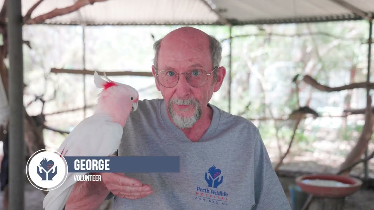 Meet the Birds of the PWH Round house.
