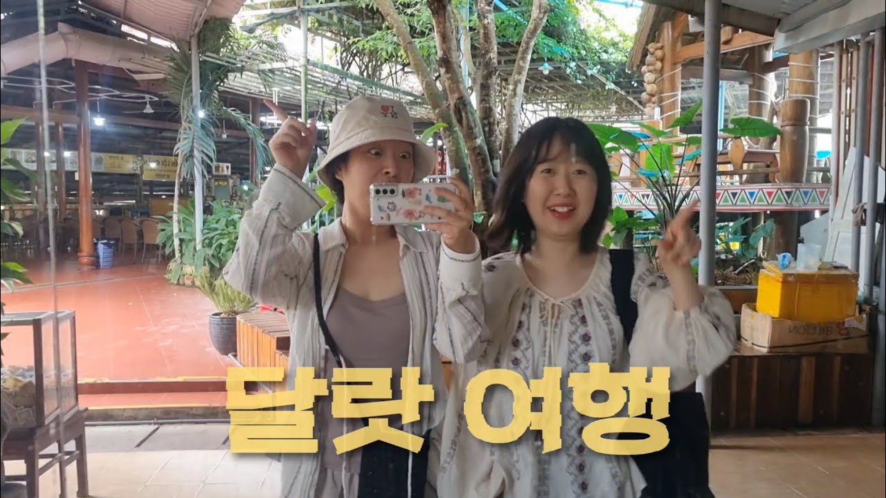 🇻🇳베트남 달랏 여행 | 브릭하우스 달랏 | 퍼히우 쌀국수 맛집 | 크레이지하우스 | 산마이 구름사냥 | 문스파 달랏 | 다딴라 폭포 루지
